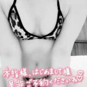 ヒメ日記 2025/06/26 11:33 投稿 ゆり 奥様メモリアル