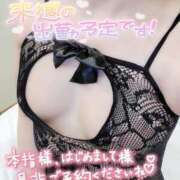 ヒメ日記 2025/07/11 11:57 投稿 ゆり 奥様メモリアル