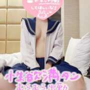 ヒメ日記 2025/08/09 09:36 投稿 ゆり 奥様メモリアル