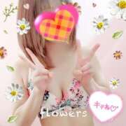 ヒメ日記 2025/09/09 06:36 投稿 ゆり 奥様メモリアル