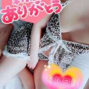 ヒメ日記 2025/09/17 21:18 投稿 ゆり 奥様メモリアル