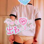 ヒメ日記 2025/09/22 09:36 投稿 ゆり 奥様メモリアル