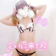 ヒメ日記 2025/10/14 08:15 投稿 ゆり 奥様メモリアル