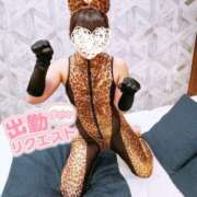 ヒメ日記 2025/12/16 12:33 投稿 ゆり 奥様メモリアル