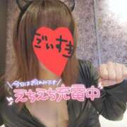 ヒメ日記 2026/02/16 20:42 投稿 ゆり 奥様メモリアル