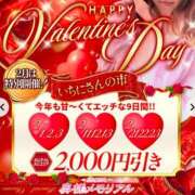 ヒメ日記 2026/02/22 10:27 投稿 ゆり 奥様メモリアル