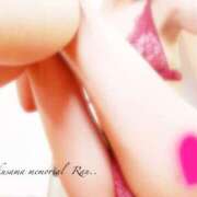 ヒメ日記 2025/04/19 10:03 投稿 らん 奥様メモリアル