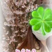 ヒメ日記 2025/04/12 14:33 投稿 なな 奥様メモリアル