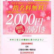 ヒメ日記 2025/04/13 15:18 投稿 なな 奥様メモリアル