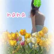 ヒメ日記 2025/04/30 17:33 投稿 なな 奥様メモリアル