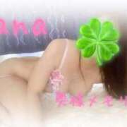 ヒメ日記 2025/06/29 21:03 投稿 なな 奥様メモリアル