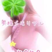 ヒメ日記 2025/07/03 14:33 投稿 なな 奥様メモリアル