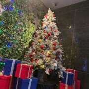 ヒメ日記 2025/12/25 20:18 投稿 なな 奥様メモリアル