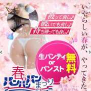 ヒメ日記 2026/03/05 14:18 投稿 なな 奥様メモリアル