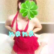 ヒメ日記 2026/04/14 16:18 投稿 なな 奥様メモリアル