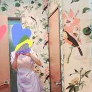 ヒメ日記 2025/02/25 17:33 投稿 いつき 奥様メモリアル