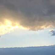 ヒメ日記 2025/03/24 06:18 投稿 いつき 奥様メモリアル