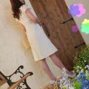 ヒメ日記 2025/05/25 17:33 投稿 いつき 奥様メモリアル