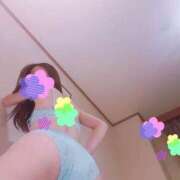 ヒメ日記 2025/09/10 19:27 投稿 いつき 奥様メモリアル