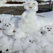 ヒメ日記 2026/01/16 20:27 投稿 いつき 奥様メモリアル