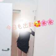 ヒメ日記 2026/07/31 21:32 投稿 いつき 奥様メモリアル