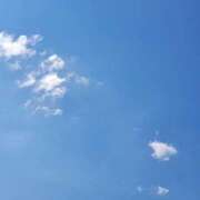 いつき 本日から・・・☺️ 奥様メモリアル