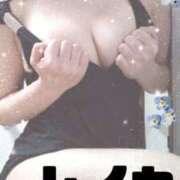 ヒメ日記 2025/03/31 16:18 投稿 れいか 奥様メモリアル