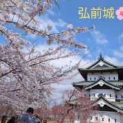 ヒメ日記 2026/04/18 15:42 投稿 まいか 奥様メモリアル