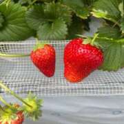 ヒメ日記 2025/05/13 22:03 投稿 えれな 奥様メモリアル