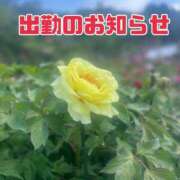 ヒメ日記 2025/07/04 19:03 投稿 えれな 奥様メモリアル