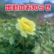 ヒメ日記 2025/07/13 08:39 投稿 えれな 奥様メモリアル