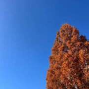 ヒメ日記 2025/11/29 19:27 投稿 えれな 奥様メモリアル