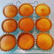 ヒメ日記 2025/12/10 07:12 投稿 えれな 奥様メモリアル