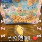 ヒメ日記 2026/02/03 12:33 投稿 えれな 奥様メモリアル