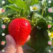 ヒメ日記 2026/02/21 20:33 投稿 えれな 奥様メモリアル