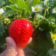 ヒメ日記 2026/04/02 12:18 投稿 えれな 奥様メモリアル