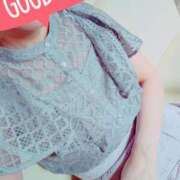 ヒメ日記 2025/06/27 11:03 投稿 しずか 奥様メモリアル