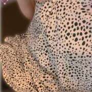 ヒメ日記 2025/05/14 12:57 投稿 はるか 奥様メモリアル