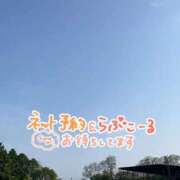 ヒメ日記 2025/07/02 11:03 投稿 りおな 奥様メモリアル