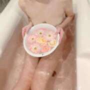 ヒメ日記 2026/10/15 18:32 投稿 このみ 奥様メモリアル