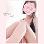 ヒメ日記 2025/03/01 09:57 投稿 マドカ Celeb Garden(セレブガーデン)