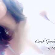 マドカ おはようございます Celeb Garden(セレブガーデン)