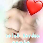 ヒメ日記 2024/12/12 16:33 投稿 サリア Celeb Garden(セレブガーデン)