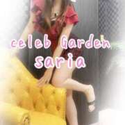 ヒメ日記 2024/12/12 18:19 投稿 サリア Celeb Garden(セレブガーデン)