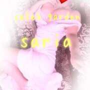 ヒメ日記 2025/04/13 12:48 投稿 サリア Celeb Garden(セレブガーデン)