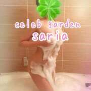 ヒメ日記 2025/04/29 15:33 投稿 サリア Celeb Garden(セレブガーデン)