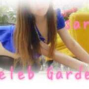 ヒメ日記 2025/07/27 17:12 投稿 サリア Celeb Garden(セレブガーデン)