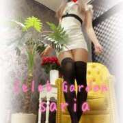 ヒメ日記 2025/08/01 12:30 投稿 サリア Celeb Garden(セレブガーデン)