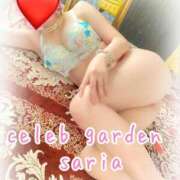 ヒメ日記 2025/09/23 20:18 投稿 サリア Celeb Garden(セレブガーデン)