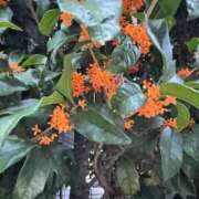 ヒメ日記 2025/10/14 22:09 投稿 サリア Celeb Garden(セレブガーデン)